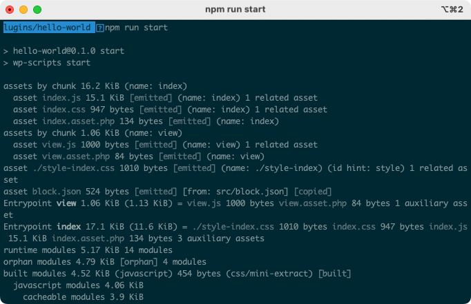 A screenshot of the Terminal with the WP Scripts development mode running.
